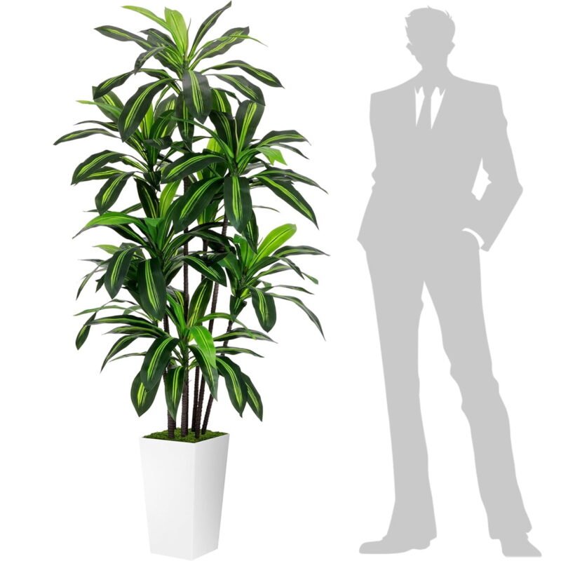 Rirool 6FT Artificial Dracaena Tree with White Tall Planter, Realistic Faux Indoor Floor Plant with Adjustable Leaves and Trunks for Living Room Office Bedroom Entryway Home Decor, White Pot